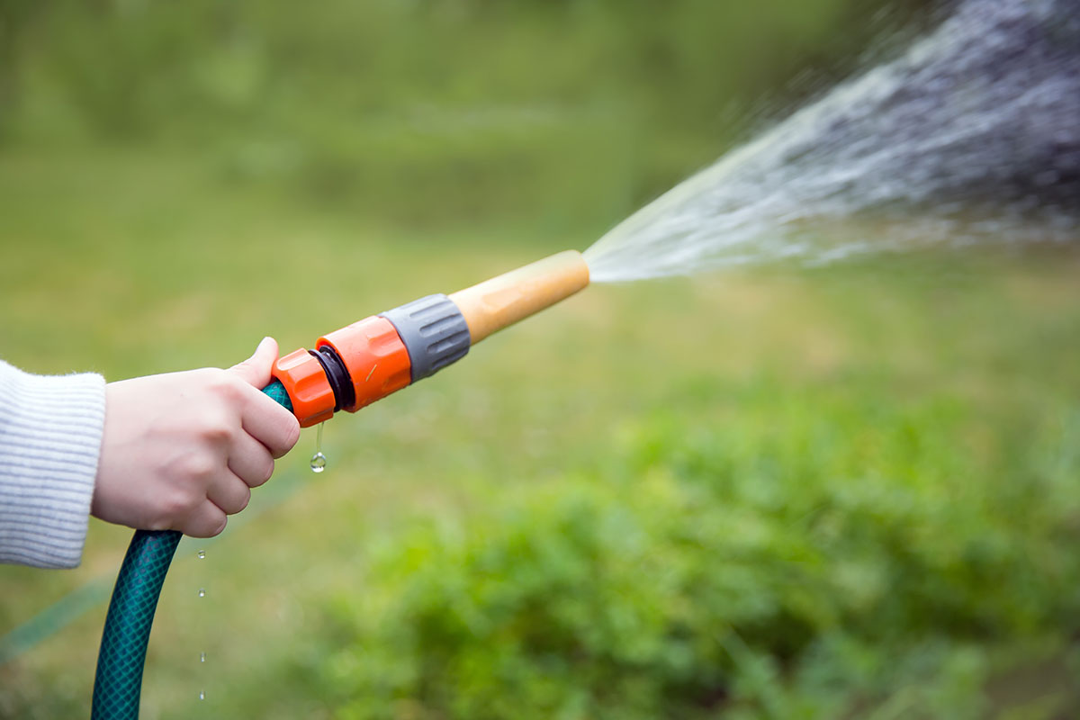 Garden Hose Guide: Efficient Watering Tips for a Greener Yard